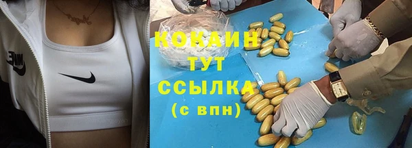 крисы Бронницы